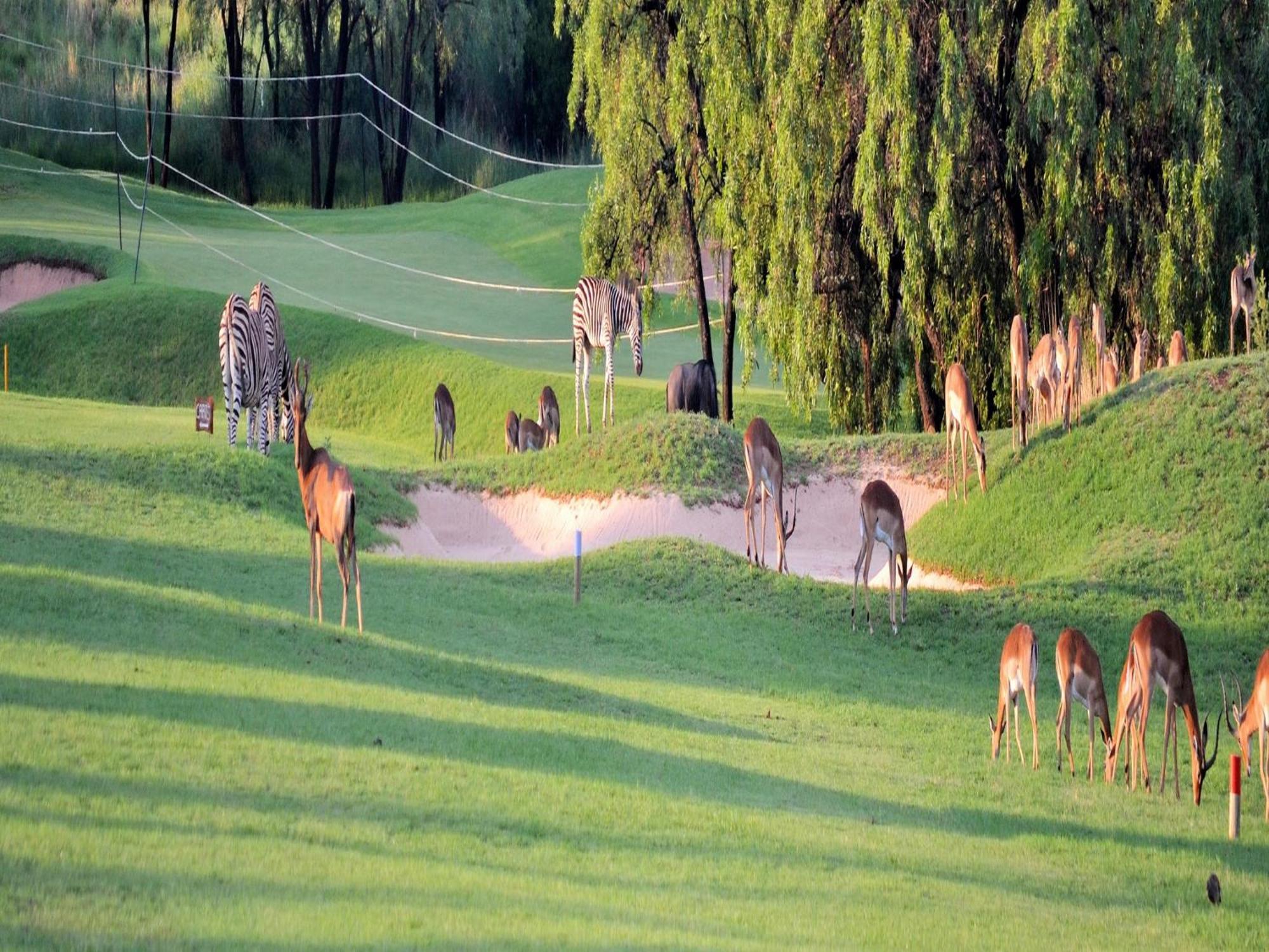 Vila Elements Private Golf Reserve Bela-Bela Exteriér fotografie