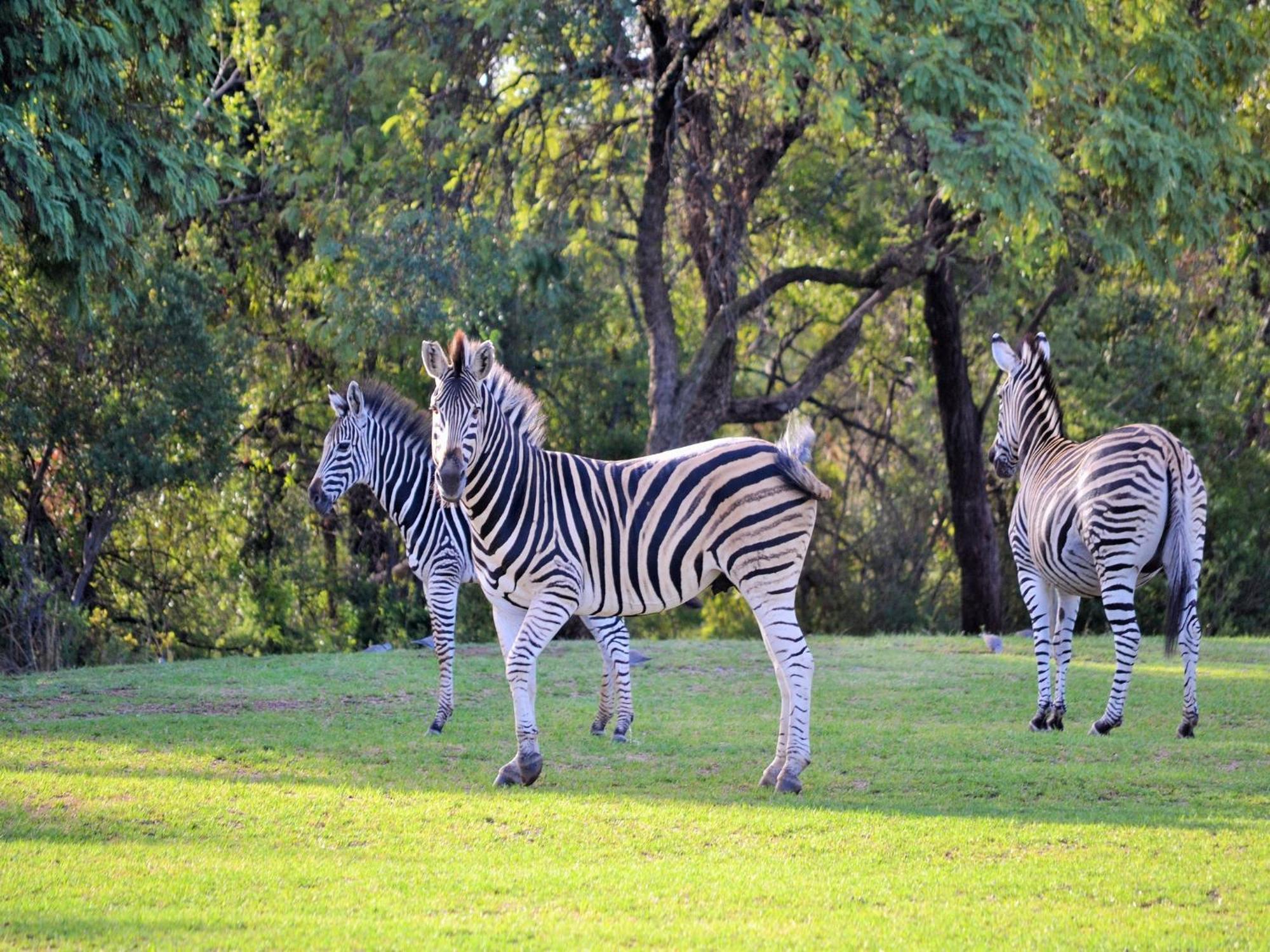 Vila Elements Private Golf Reserve Bela-Bela Exteriér fotografie